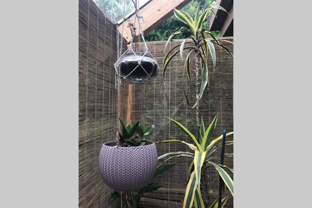 Sunset Nest Villa Ponta Delgada  Ngoại thất bức ảnh