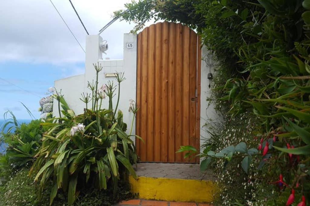 Sunset Nest Villa Ponta Delgada  Ngoại thất bức ảnh